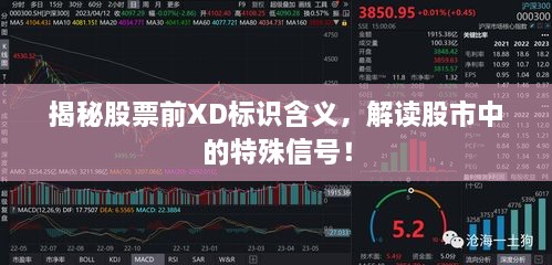 揭秘股票前XD標(biāo)識含義，解讀股市中的特殊信號！