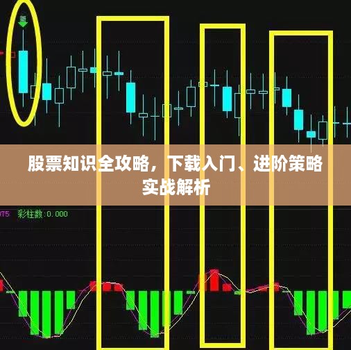 股票知識全攻略，下載入門、進(jìn)階策略實(shí)戰(zhàn)解析