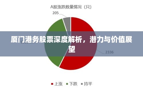 廈門港務(wù)股票深度解析，潛力與價值展望