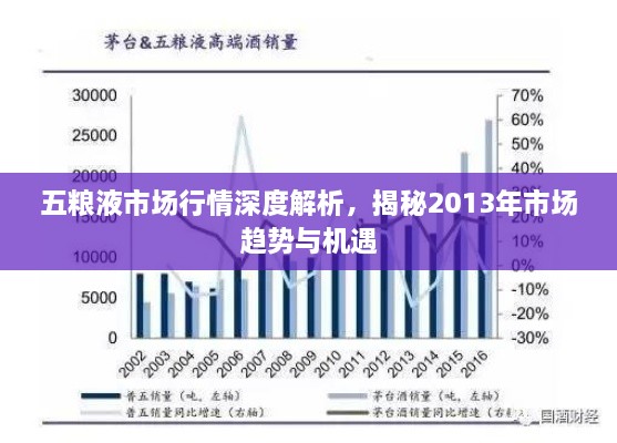 五糧液市場行情深度解析，揭秘2013年市場趨勢與機遇