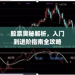 股票奧秘解析，入門到進階指南全攻略