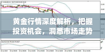 黃金行情深度解析，把握投資機(jī)會(huì)，洞悉市場走勢(shì)