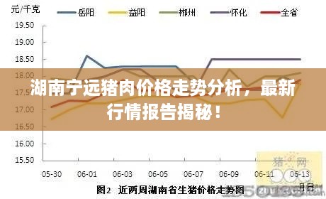 湖南寧遠(yuǎn)豬肉價(jià)格走勢分析，最新行情報(bào)告揭秘！