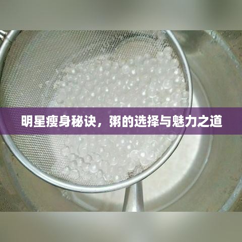 明星瘦身秘訣，粥的選擇與魅力之道