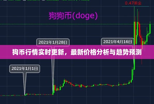 狗幣行情實(shí)時(shí)更新，最新價(jià)格分析與趨勢預(yù)測