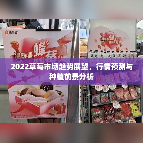 2022草莓市場趨勢展望，行情預(yù)測與種植前景分析