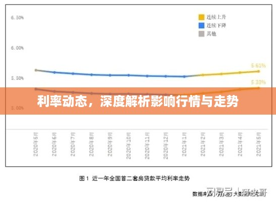 利率動態(tài)，深度解析影響行情與走勢