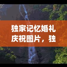 獨家記憶婚禮慶祝圖片，獨家記憶圖片唯美 