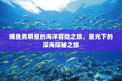 捕魚男明星的海洋冒險(xiǎn)之旅，星光下的深海探秘之旅