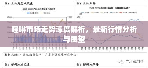 喹啉市場走勢深度解析，最新行情分析與展望