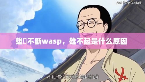 雄獣不斷wasp，雄不起是什么原因 