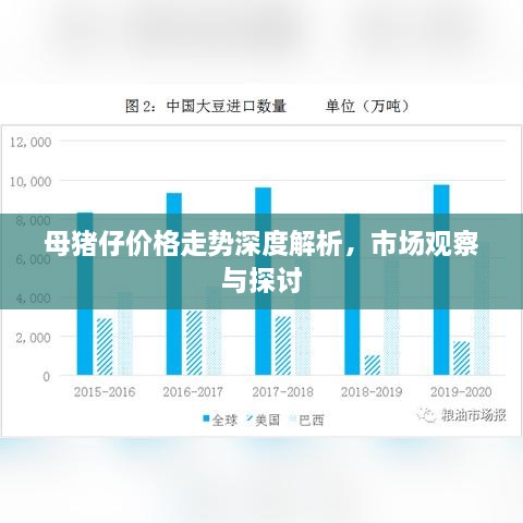 母豬仔價格走勢深度解析，市場觀察與探討