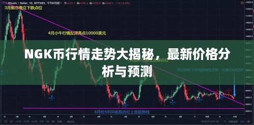 NGK幣行情走勢大揭秘，最新價格分析與預(yù)測