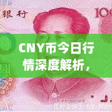 CNY幣今日行情深度解析，最新價(jià)格動(dòng)態(tài)一網(wǎng)打盡！