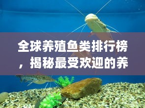 全球養(yǎng)殖魚類排行榜，揭秘最受歡迎的養(yǎng)殖魚類種類！