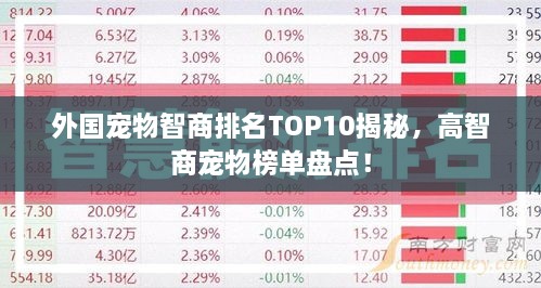 外國(guó)寵物智商排名TOP10揭秘，高智商寵物榜單盤(pán)點(diǎn)！