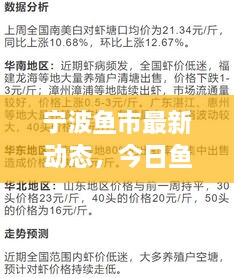 寧波魚市最新動態(tài)，今日魚價、市場走勢及影響因素全解析