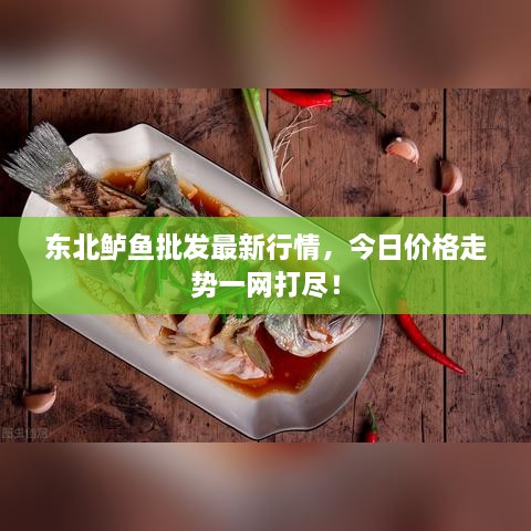 東北鱸魚批發(fā)最新行情，今日價(jià)格走勢一網(wǎng)打盡！