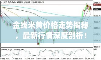 金線米黃價(jià)格走勢(shì)揭秘，最新行情深度剖析！