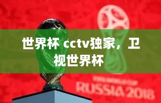 世界杯 cctv獨家，衛(wèi)視世界杯 