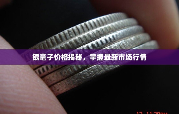 銀毫子價(jià)格揭秘，掌握最新市場(chǎng)行情