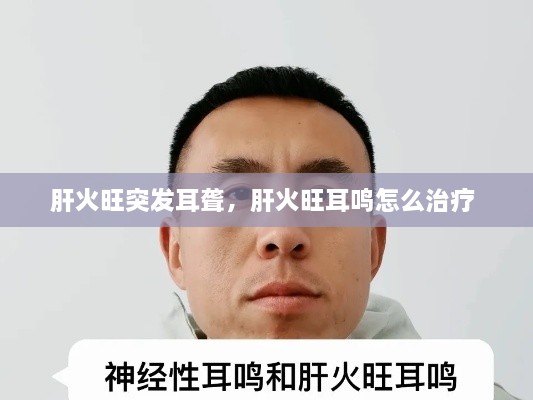 肝火旺突發(fā)耳聾，肝火旺耳鳴怎么治療 