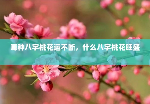 哪種八字桃花運(yùn)不斷，什么八字桃花旺盛 