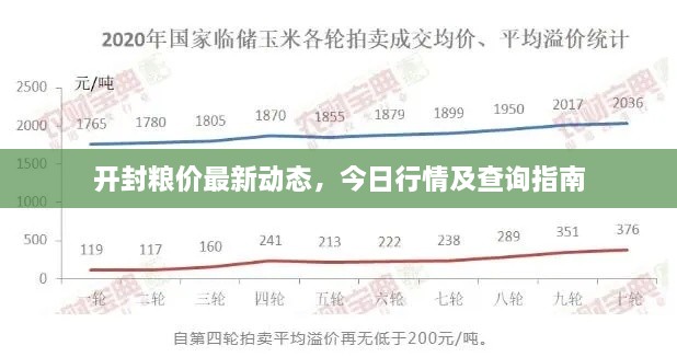 開封糧價(jià)最新動(dòng)態(tài)，今日行情及查詢指南