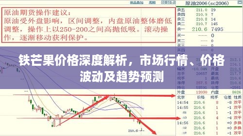 鐵芒果價(jià)格深度解析，市場行情、價(jià)格波動(dòng)及趨勢預(yù)測