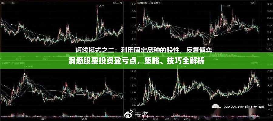 洞悉股票投資盈虧點，策略、技巧全解析