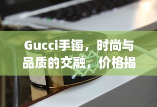 Gucci手鐲，時(shí)尚與品質(zhì)的交融，價(jià)格揭秘！