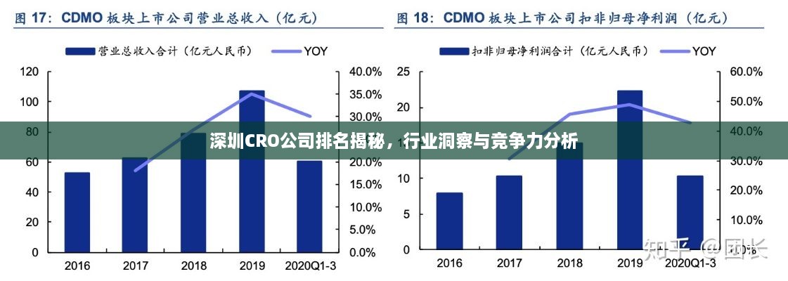 深圳CRO公司排名揭秘，行業(yè)洞察與競(jìng)爭(zhēng)力分析