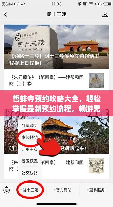 哲蚌寺預約攻略大全，輕松掌握最新預約流程，暢游無阻！