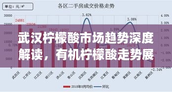 武漢檸檬酸市場趨勢深度解讀，有機檸檬酸走勢展望