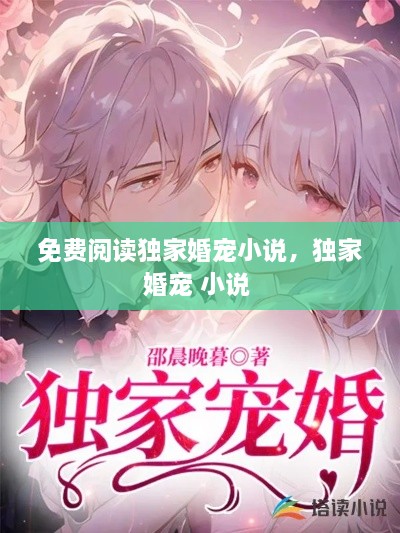 免費閱讀獨家婚寵小說，獨家婚寵 小說 