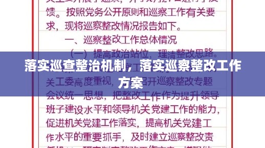 落實巡查整治機制，落實巡察整改工作方案 