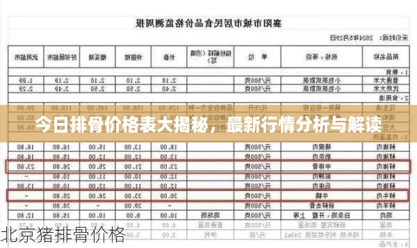 今日排骨價(jià)格表大揭秘，最新行情分析與解讀