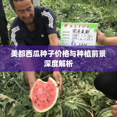 美都西瓜種子價(jià)格與種植前景深度解析