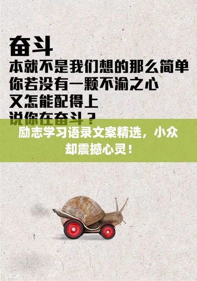 勵志學習語錄文案精選，小眾卻震撼心靈！