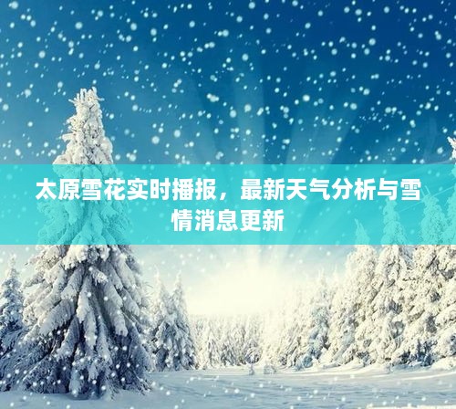 太原雪花實(shí)時播報(bào)，最新天氣分析與雪情消息更新