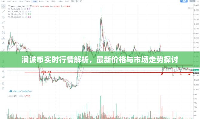 潤波幣實時行情解析，最新價格與市場走勢探討