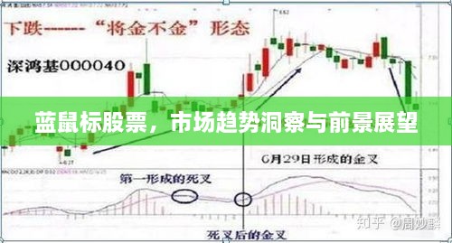 藍鼠標股票，市場趨勢洞察與前景展望