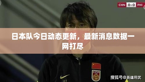 日本隊今日動態(tài)更新，最新消息數(shù)據一網打盡