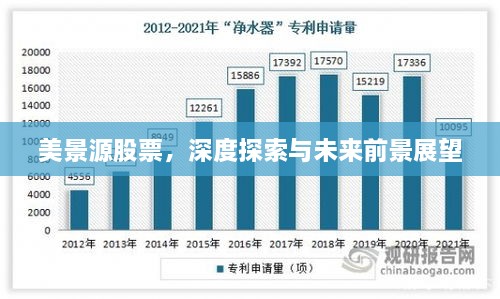 美景源股票，深度探索與未來前景展望