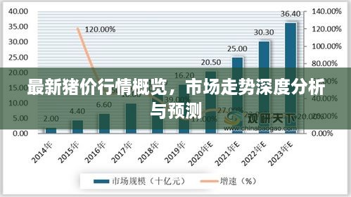 最新豬價(jià)行情概覽，市場(chǎng)走勢(shì)深度分析與預(yù)測(cè)