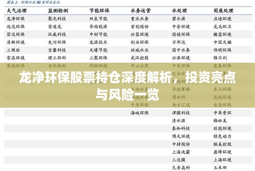 龍凈環(huán)保股票持倉深度解析，投資亮點與風(fēng)險一覽