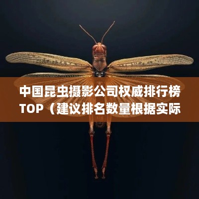 中國昆蟲攝影公司權(quán)威排行榜TOP（建議排名數(shù)量根據(jù)實際情況調(diào)整）