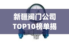 新疆閥門公司TOP10榜單揭曉，行業(yè)領(lǐng)軍者一覽無(wú)余