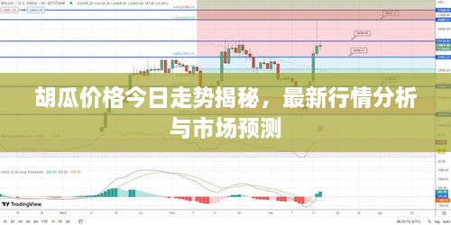 胡瓜價格今日走勢揭秘，最新行情分析與市場預測