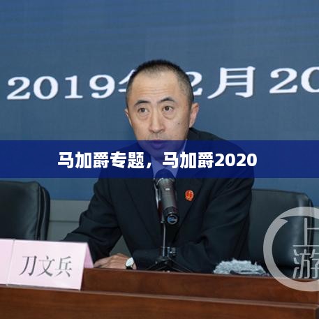 馬加爵專題，馬加爵2020 